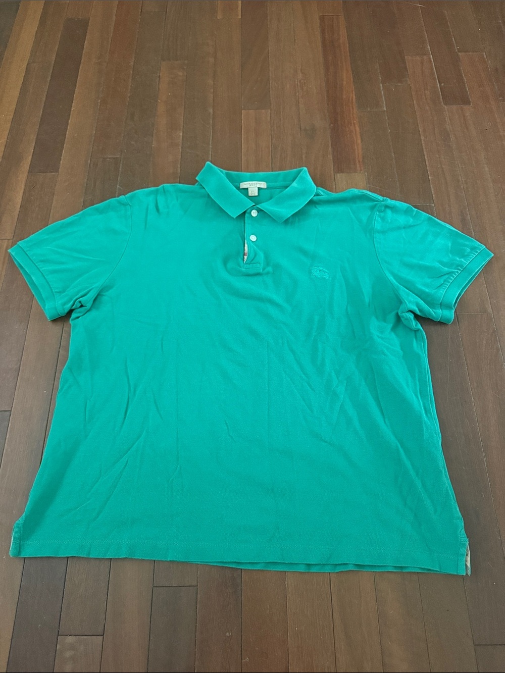 Burberry Men's Polo Shirt in Teal Green